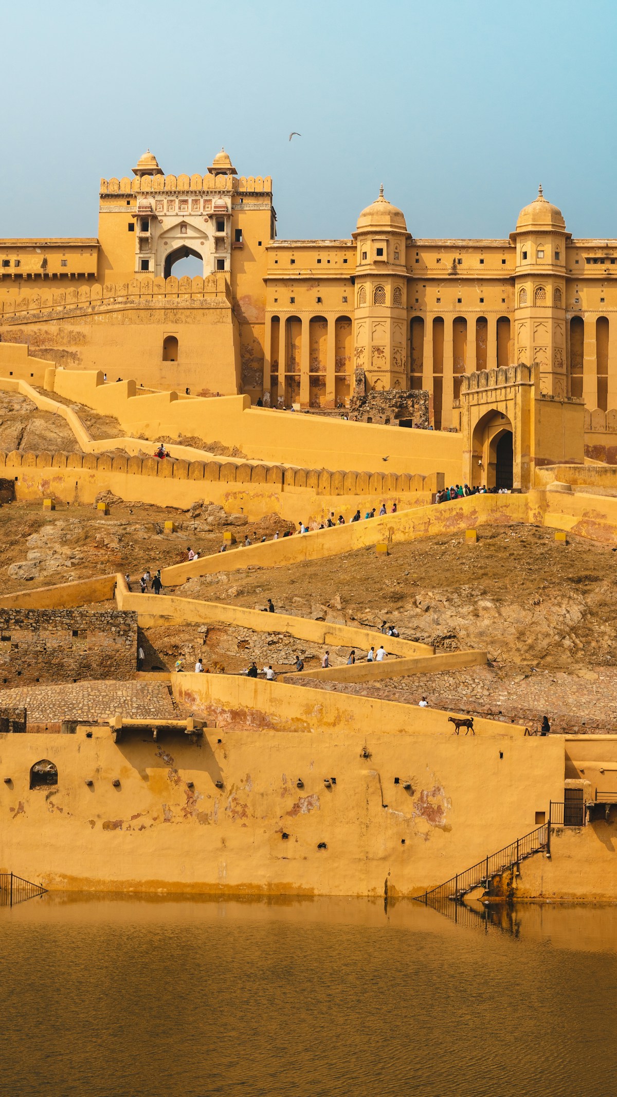 Jaipur & Rajasthan - Jaipur – Forts & Royal Palaces