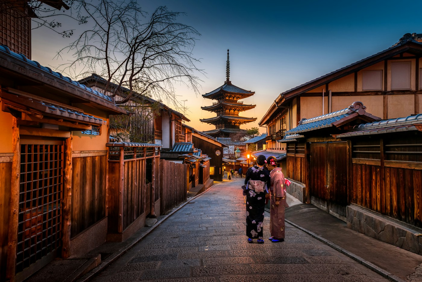 Japan - Japan: Tokyo Lights & Mount Fuji