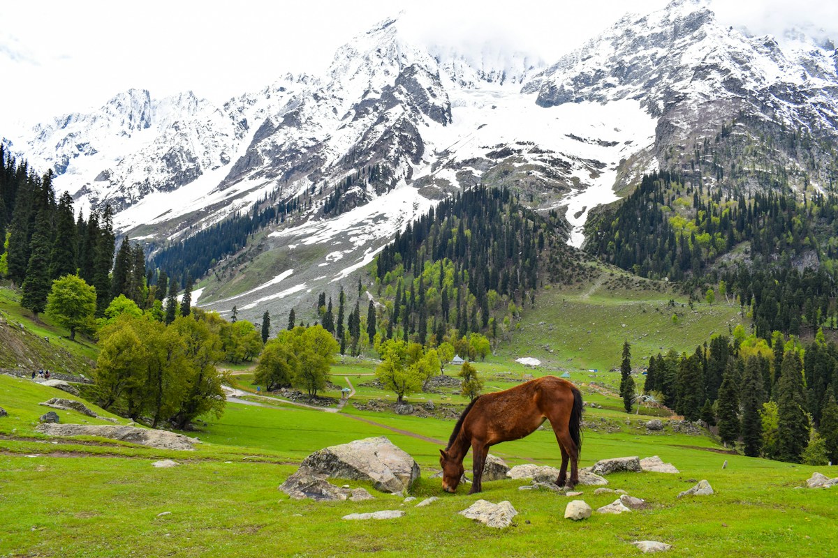 Kashmir - Kashmir – Valley Highlights