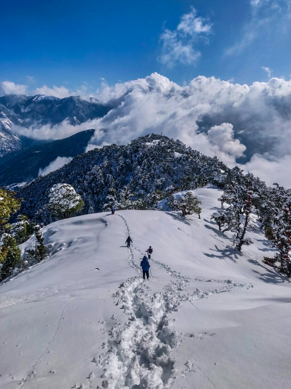 Manali - Manali – Himalayan Escape